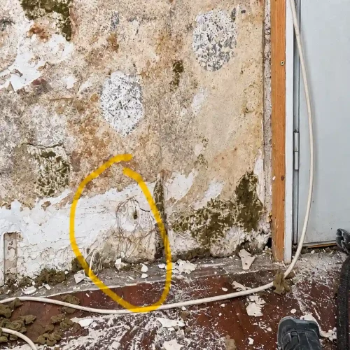 Réalisations - CREATEUR DE VIDE Createur De Vide Entreprise De Demolition A Quimper Curage De Batiment Avant Renovation 01